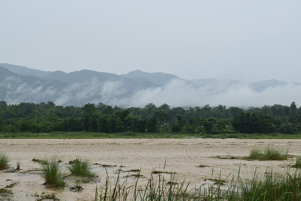moonsoon rain season