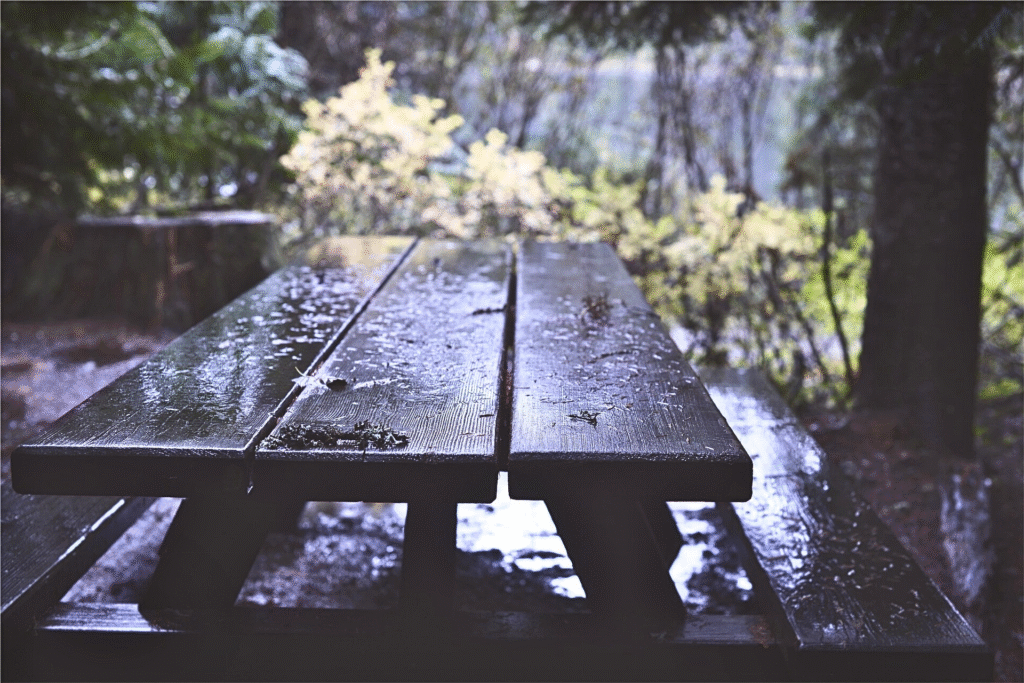 moonsoon rain